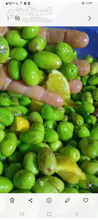 خل تفاح مركز ميه بالميه