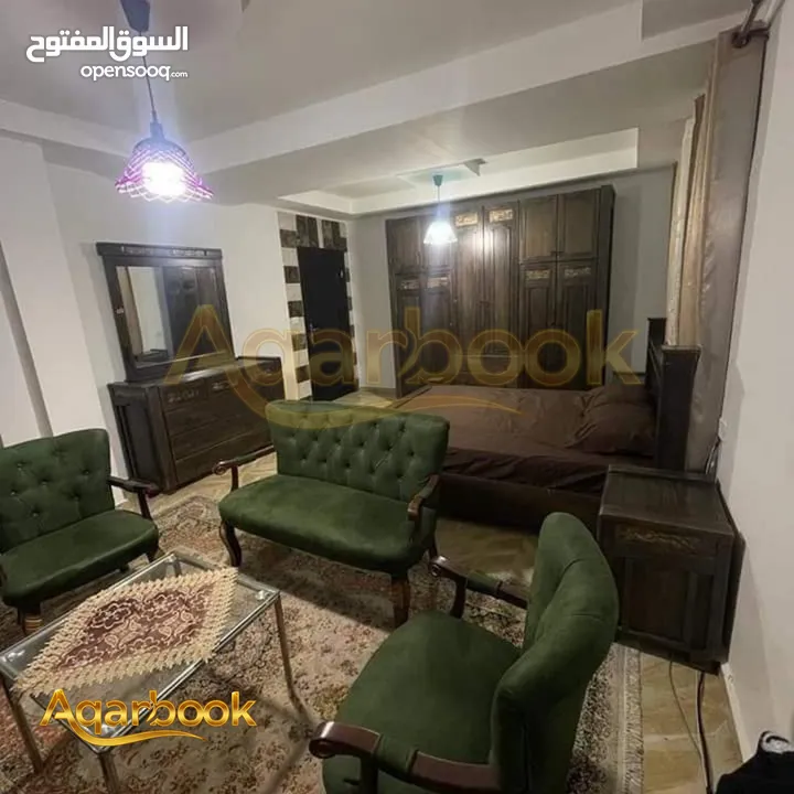 شقة مفروشة للايجار في عين منجد