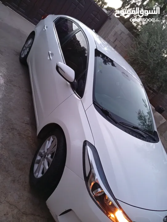 طمون انس عوده