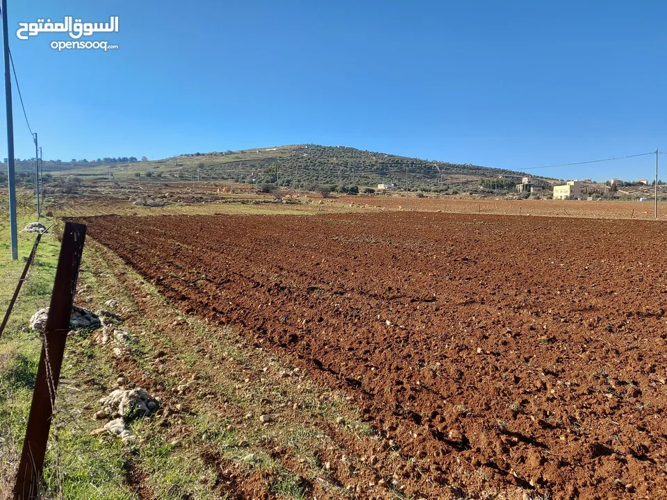 أرض في نادره دحل خربة المطوي شرق جرش