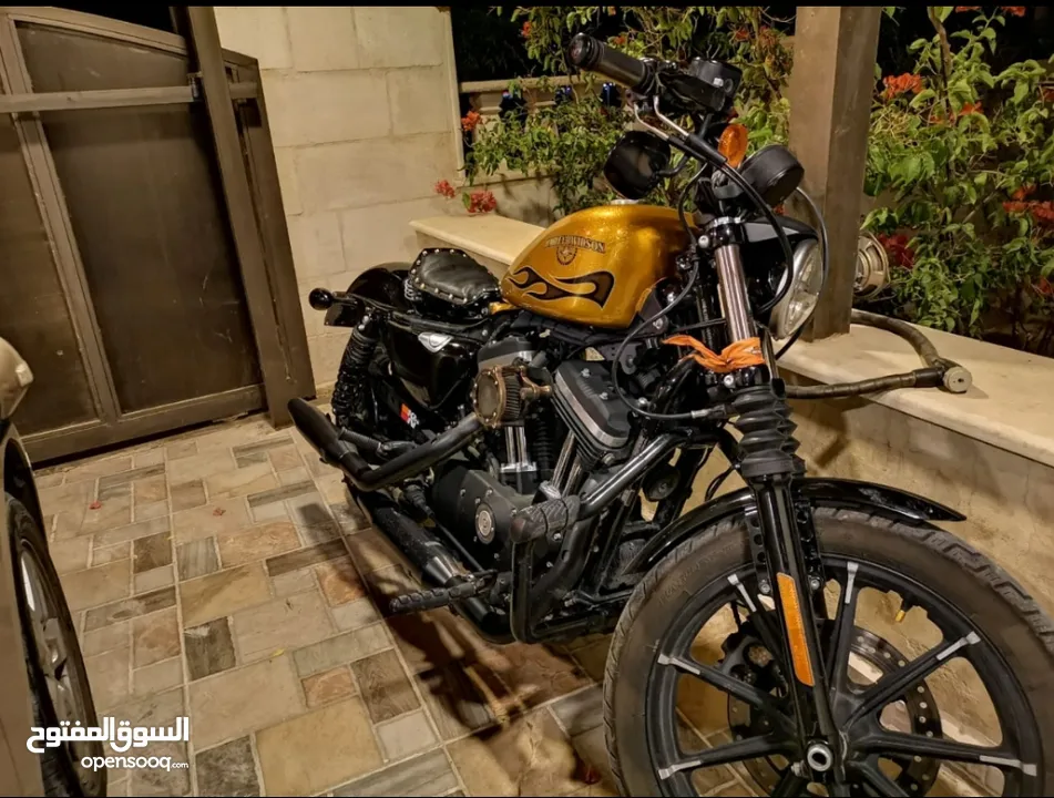 Harley Davidson iron 883 model 2016