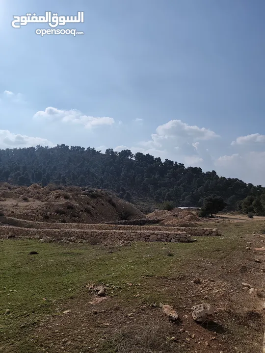 1600 متر للبيع في الصفا - حلحول