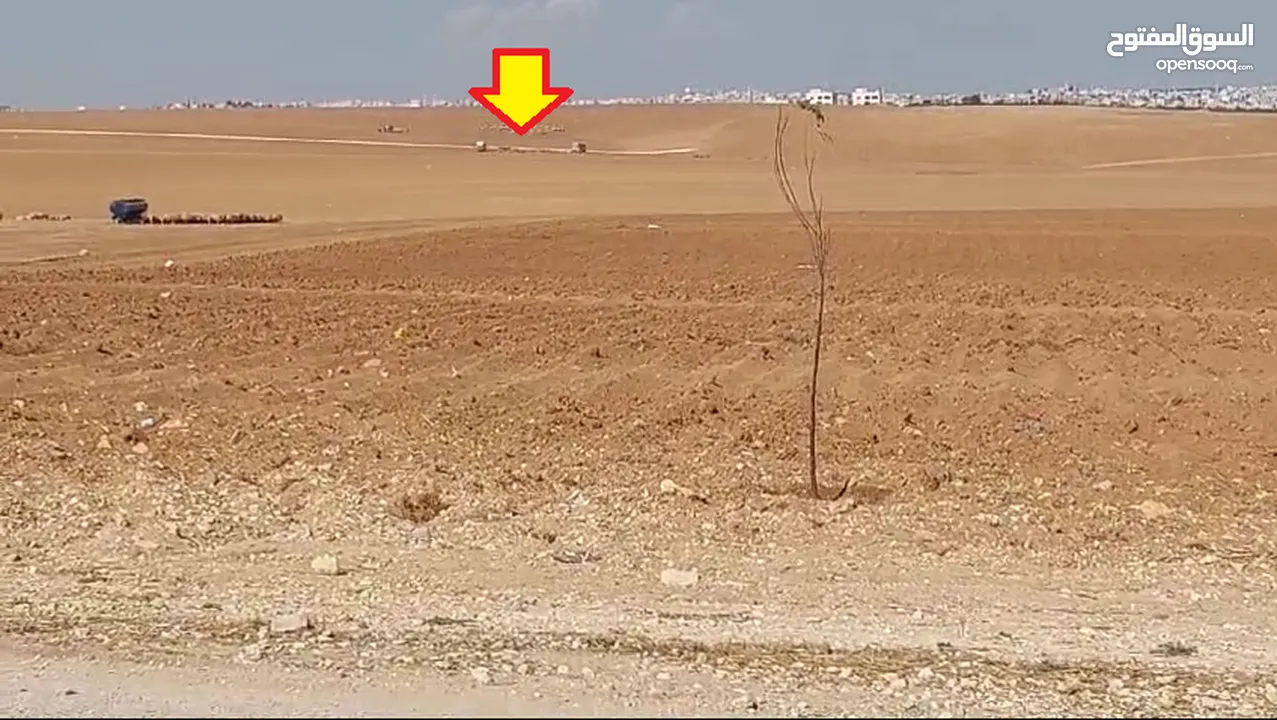 مادبا بجانب الجامعة الامريكيةمباشرة قطعة زراعيةمميزة بسعر 18 الف الدونم وبمساحة 3750متر واصل الخدمات