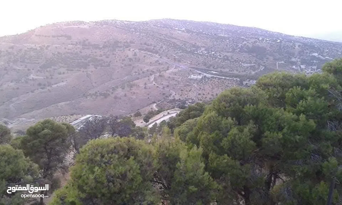 مزرعة و شاليه للبيع قرب منتزه زي مدينة السلط