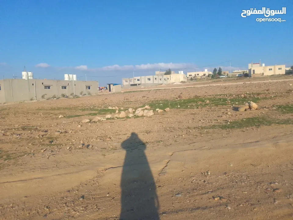 الدليل سنتر