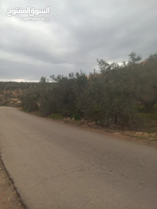 القبة الذهبية  شارع بلعا-دير الغصون