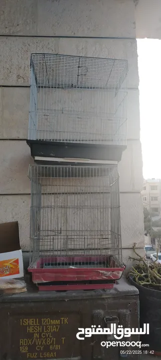 قفاص جداد للبيع