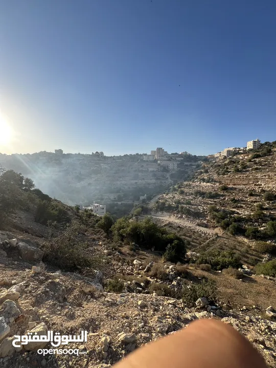 ارض واد الزرزير مطله وهادئه