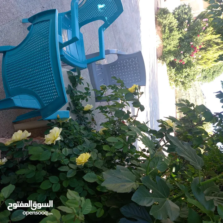 مزرعة وفلة للبيع بموقع ممتاز