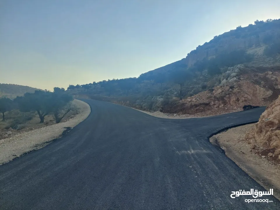 دونم طابو بلدية رام الله في ضاحية الريحان