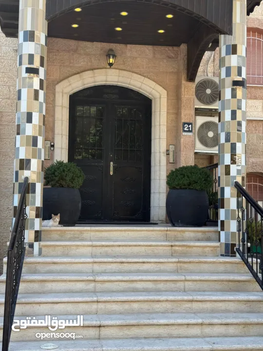 شقة مفروشة / الماصيون