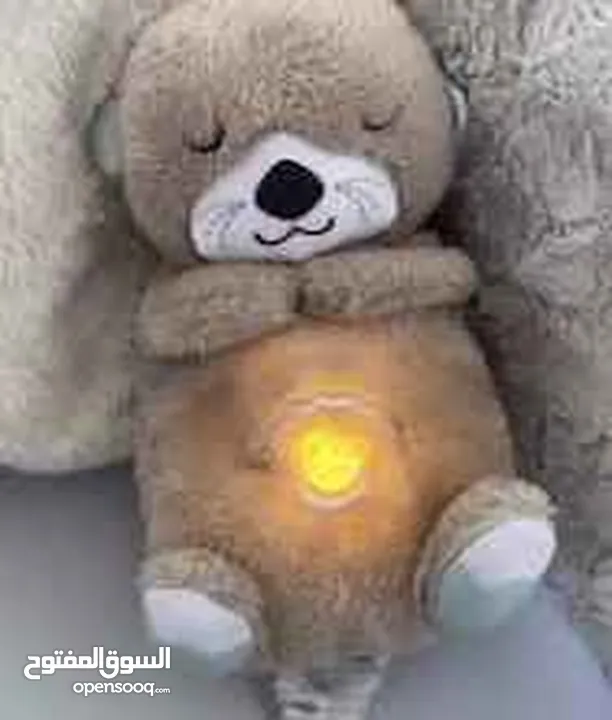 دبدوب يتنفس  دب