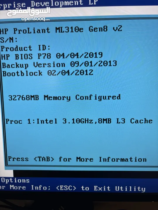 HP ProLiant M310e Gen8 v2