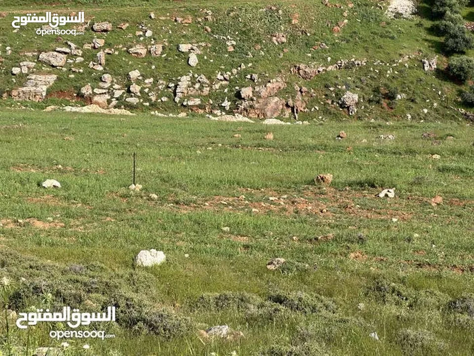 ارض 675 م غرب عمان/مرج الحمام/المشبك.عشارع اسفلت سكن ب 6 د عن دوار شوابكة والمريشد.منطقة خدمات وفلل