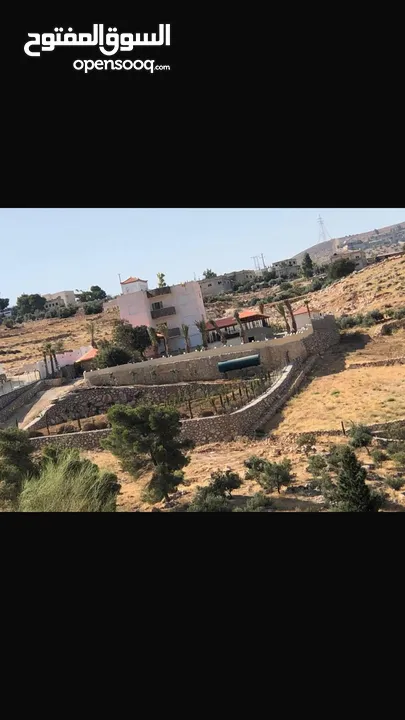 مزرعة للبيع بيرين منطقة الكمشة