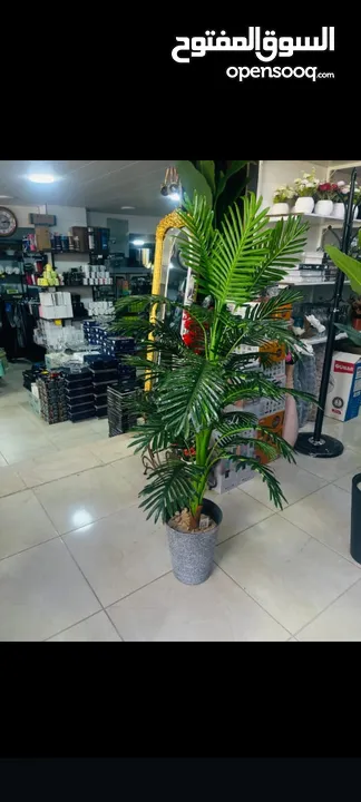 شجر زينه حجم كبييير