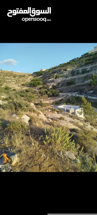 ارض للبيع في دورا الصره