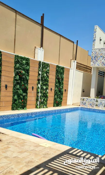 Beautiful chalet in dead sea with colorful decoration with BBQ area to prepare your delicious foods.