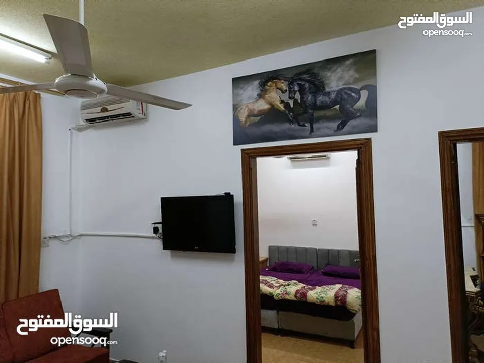 شقق مفروشه واستديوهات مفروشه للايجار اليومي والشهري العقبه العاشره