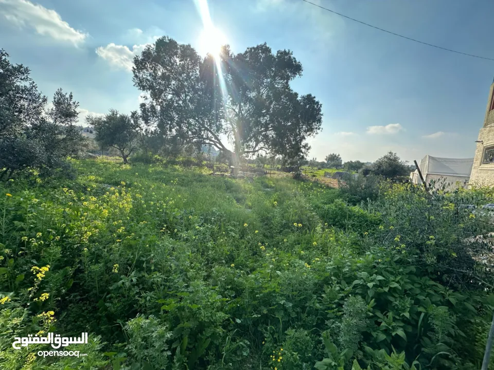 فرصة ذهبية للاستثمار أرض جبلية مميزة مسيجة .الفرصة بتيجي مرة وحده