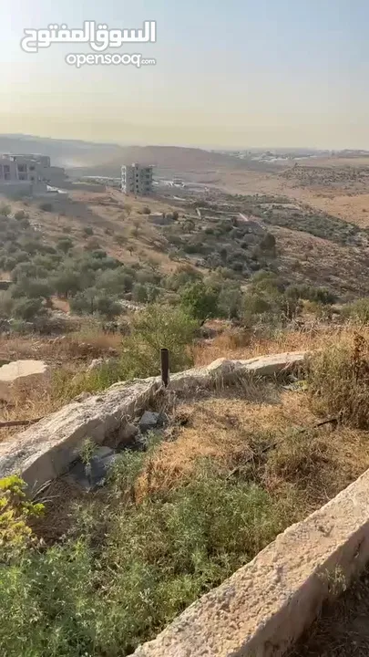 اراض 9 دونم مع مشروع مزرعه جاج مرخصه و موقع استراتيجي قريب ع معبر تجاري و مدخل اهل الداخل محتل