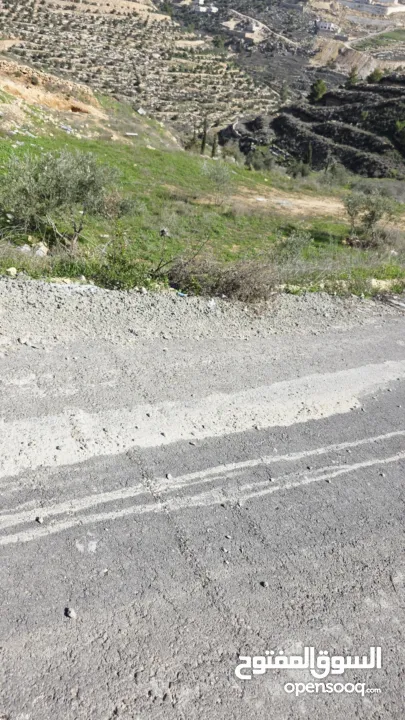 قطعة نص دونم دورا