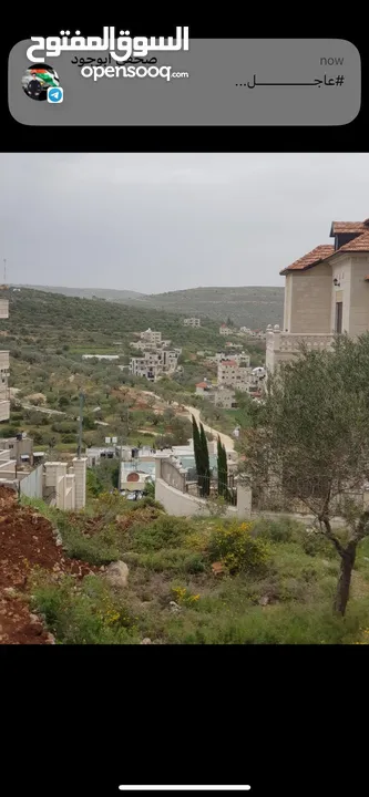 قطعة أرض من أرضي عين سينيا