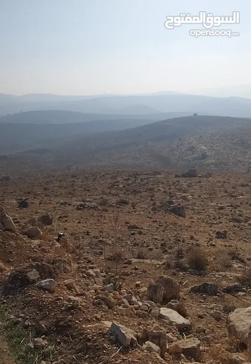 ارض زراعية للبيع في المفرق / دحل