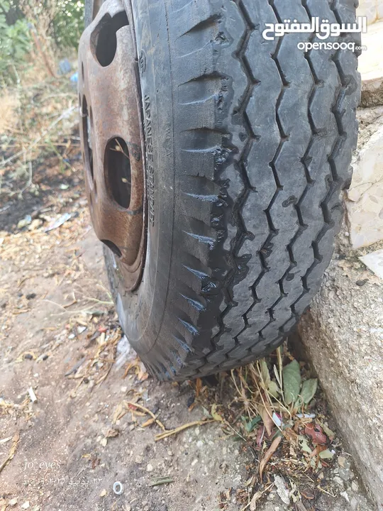 عجل مع جنط ديانا 6 براغي