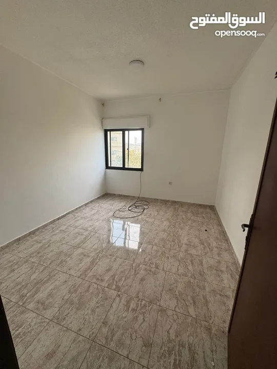 شقق للايجار عين الباشا