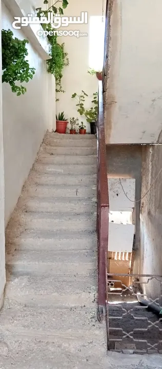 بيوت للبيع