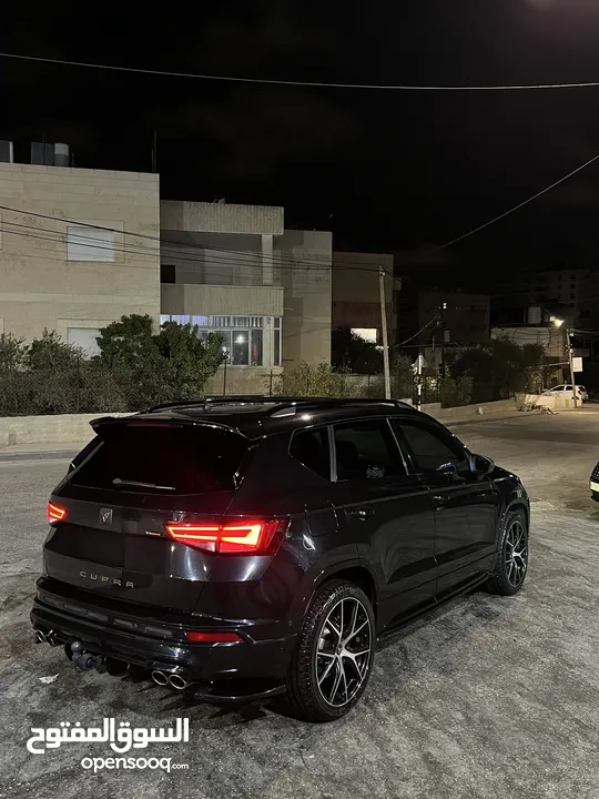 سيات كوبرا 2019