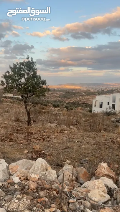 فرصة للبيع: أرض 852م2 في الطيبة – جنين، موقع مرتفع وإطلالة خلابة