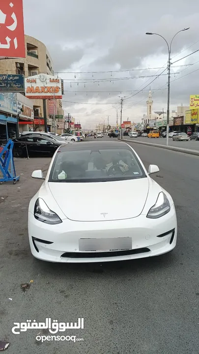 تسلا 19 استاندر