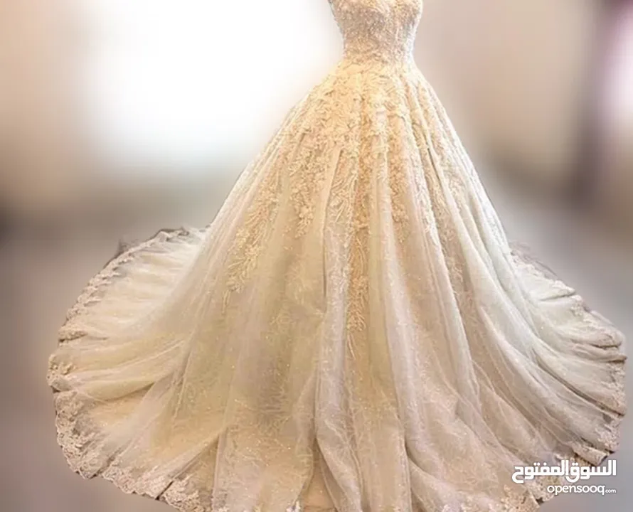 فستان زفاف مع طرحة و هيد بيس و جاكيت مطرّز و جيبونة 