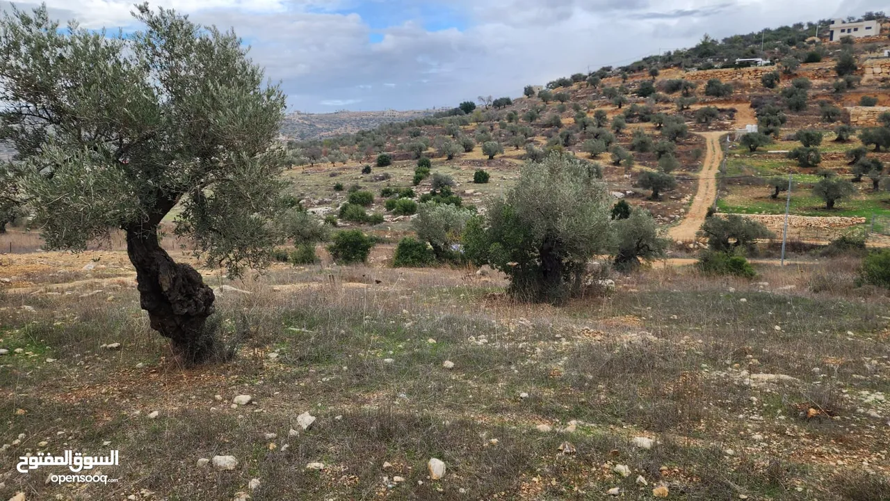 كوبر/ ارض مساحه 930 متر للبيع من المالك المباشر