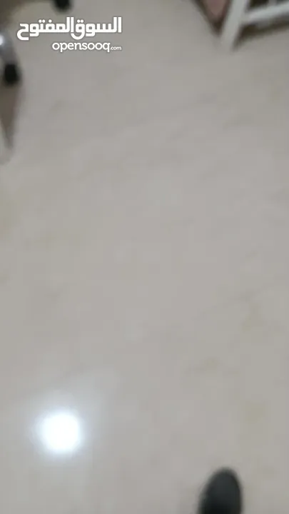مقوي قبضة اليد 60 كيلو