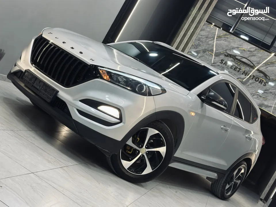 احمد سامي سليط