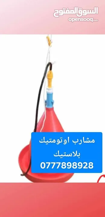 صوص لاحم مزارع   اعلاف ذره صويا شعير وعده محلات الدجاج   كيا فنتيرا موديل 1999ازرق كاش اواقساط