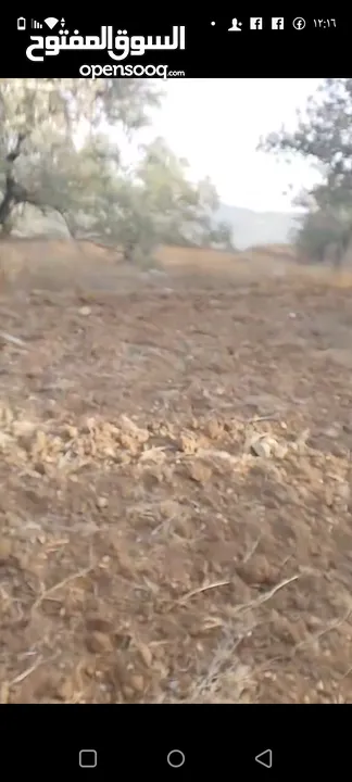 قطعة لرض للبيع