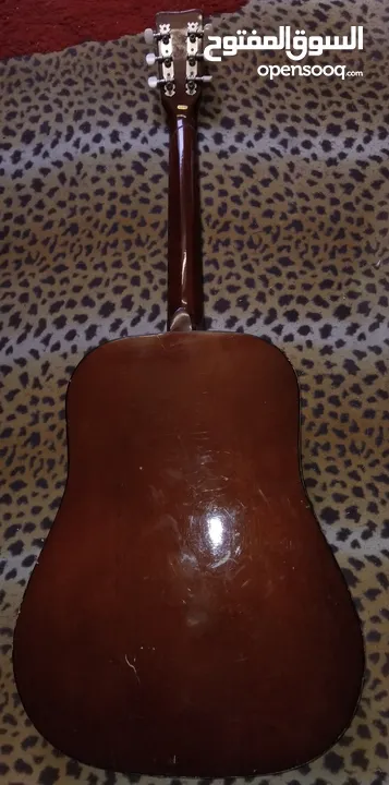 جيتار اصلي تايوني