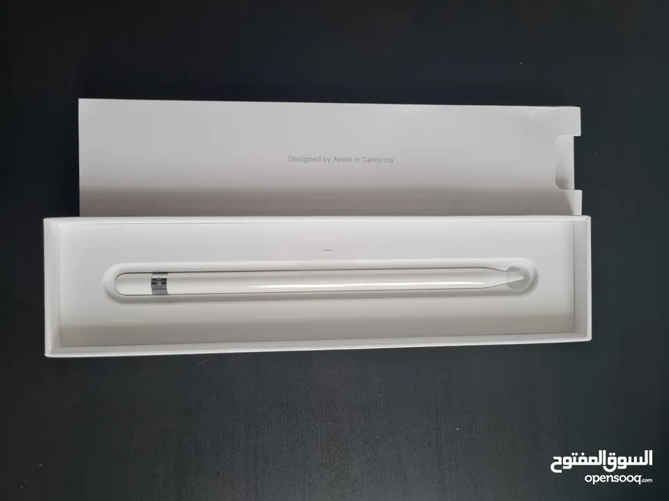 iPad 8th Gen + Apple Pencil 2nd Gen