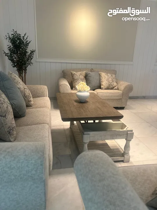 Ashely Luxury Classic Living Sofa set