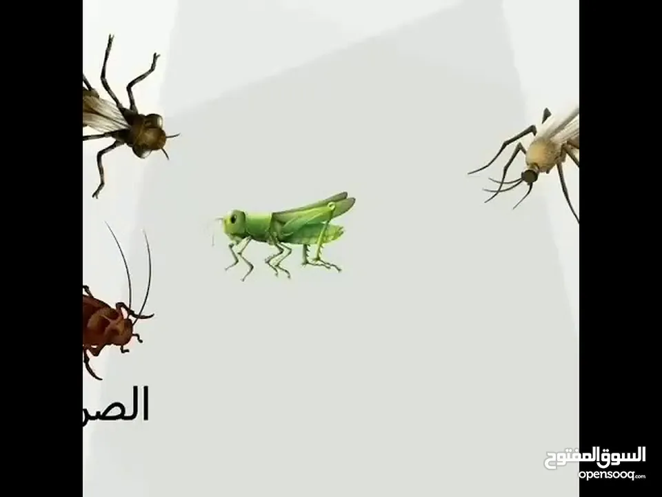 شركه اتحاد المقاولون الخليجيه لمكافحه الحشرات