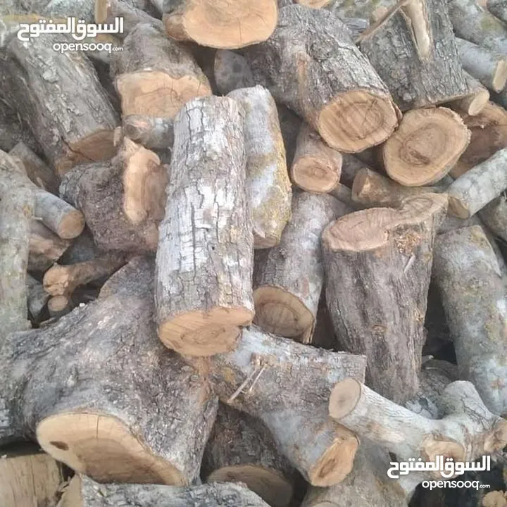 حطب زيتون زند وقرمي ناشف للبيع إن شاء الله