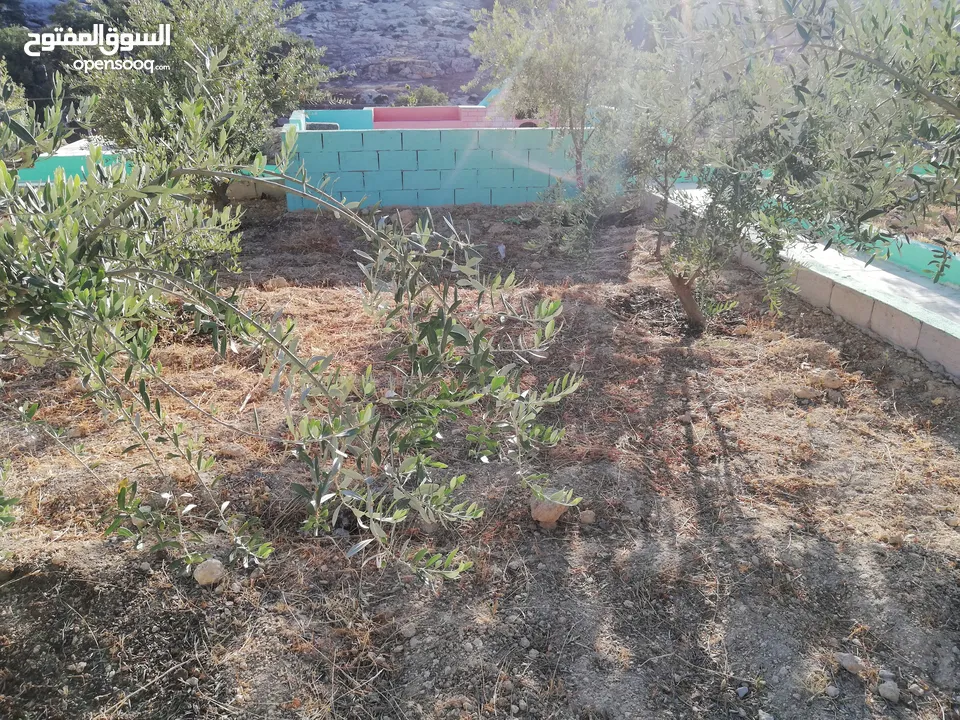 مزرعه للبيع
