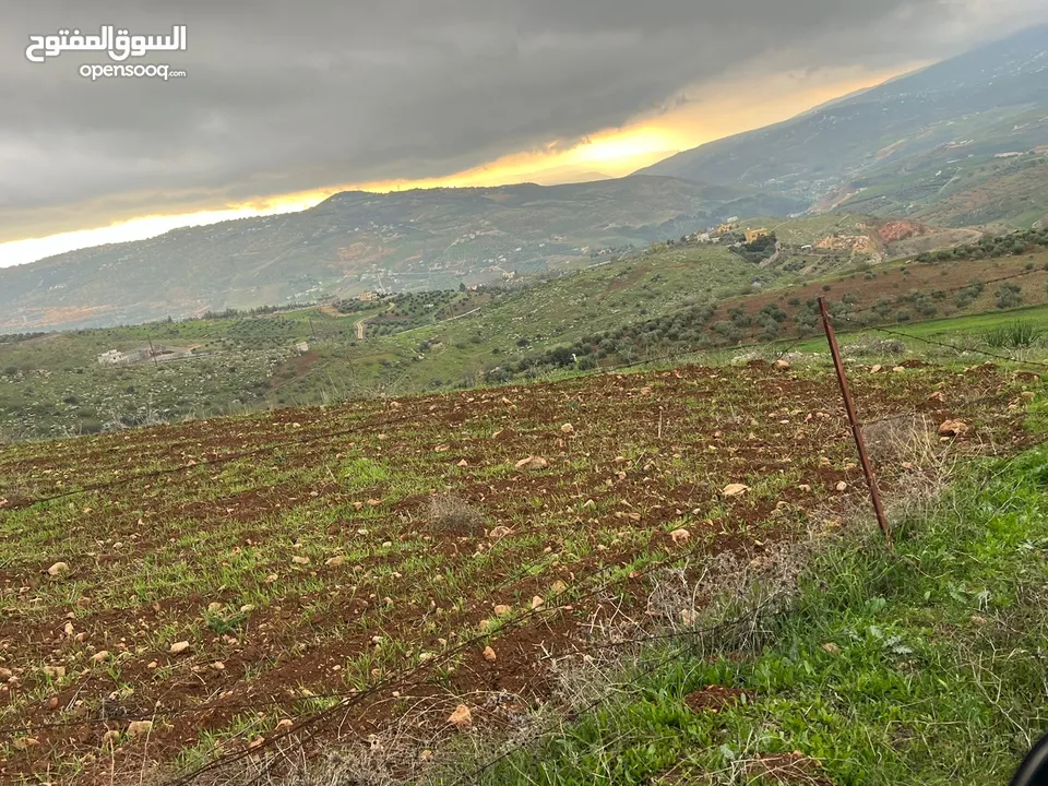 للبيع منبسطه واصل الخدمات اطلاله رائعة منطقة مزارع وشاليهات فخمه.