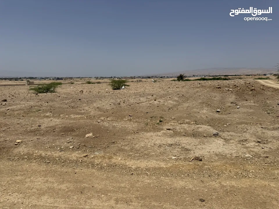 للبيع ارض في منطقة البحر الميت
