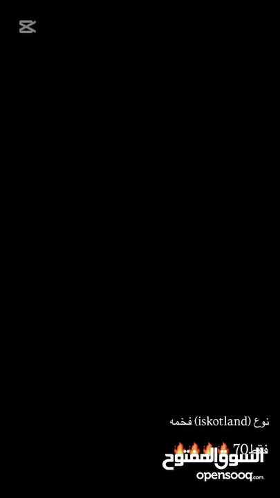 ساعة نوع (iskotland) فخمة جداً وثقيلة