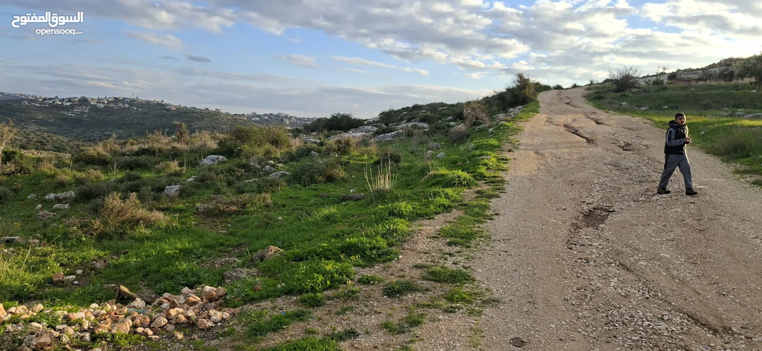 دونم ارض طابوا فلسطيني منطقة (B)بالقرب من دوار كفرصور جميع الخدمات فيها عليها شارع 12متر موقع مميز